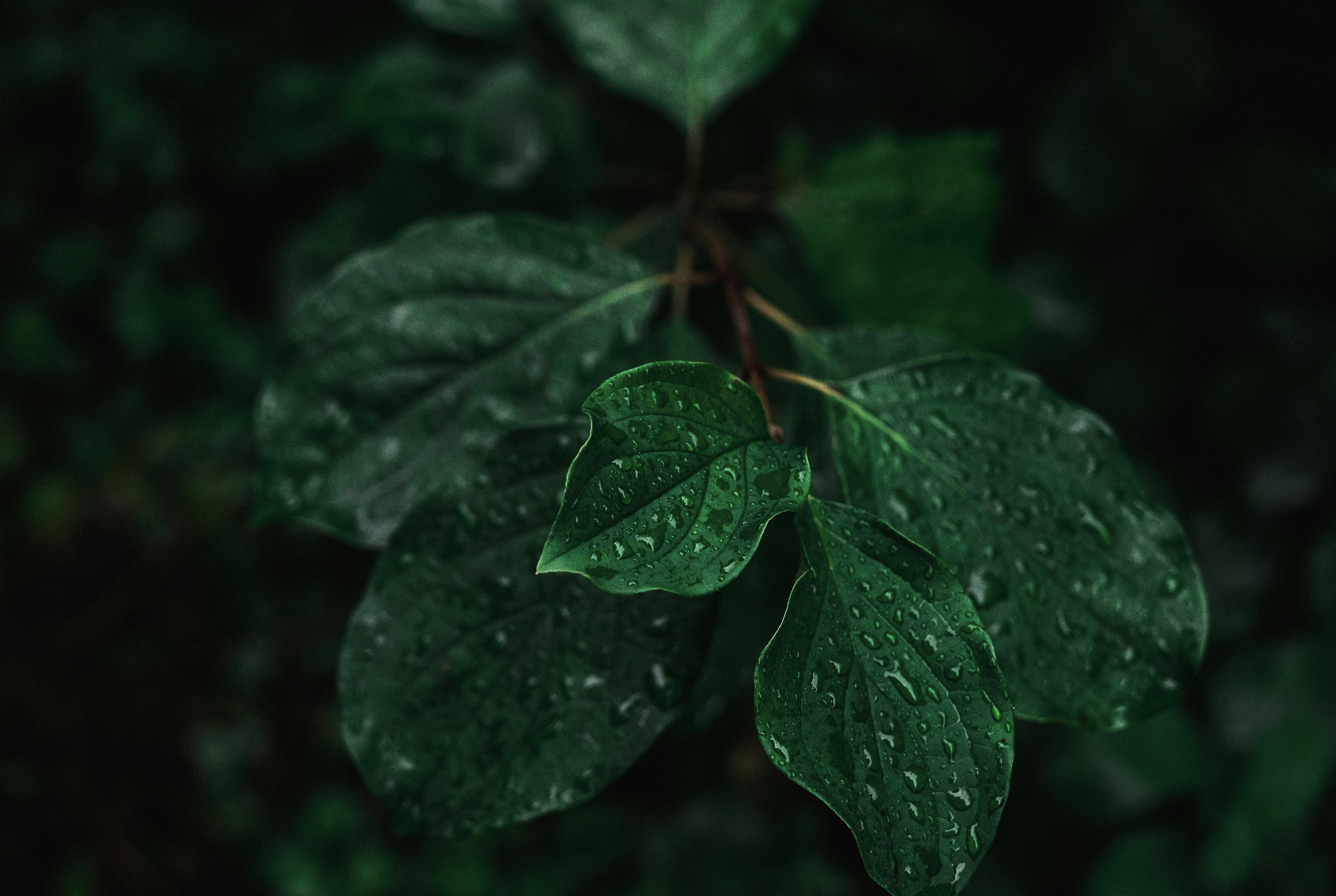 Capture d’écran 2025-07-11 à 11.42.51